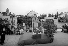 Ansfelden Stadterhebung 1988