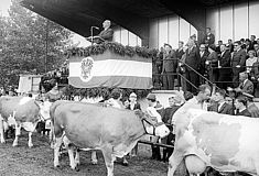 Franz Jonas auf der Rieder Messe