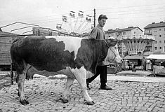 Messe in Freistadt 1971